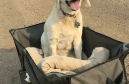 Screenshot 2025 03 15 At 10.19.40 Am